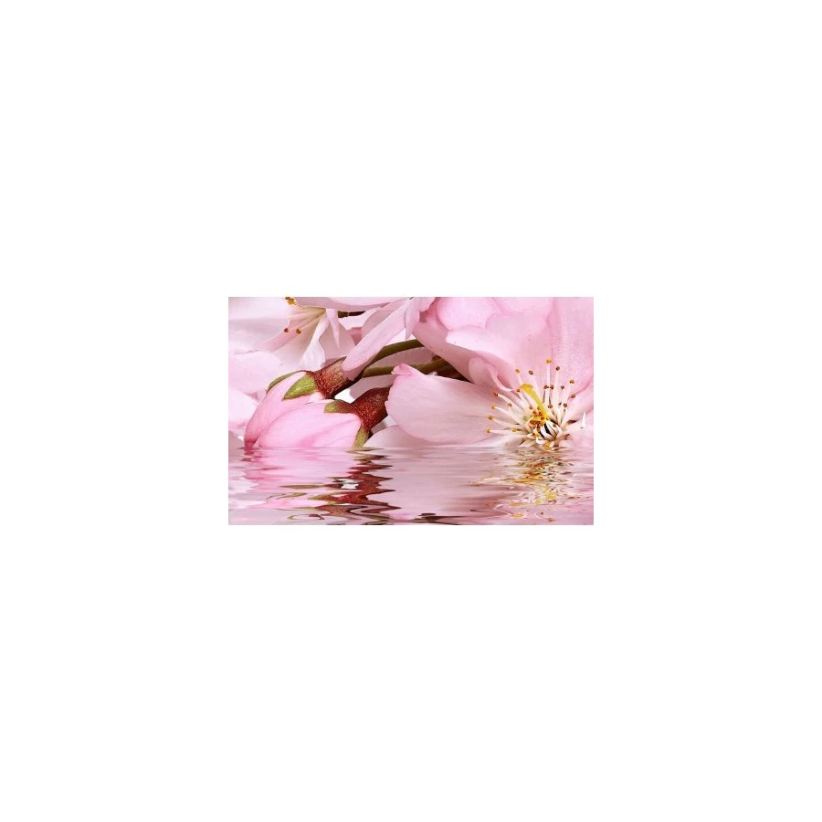 Декоративный массив Belleza Букет 07-00-5-09-01-41-664 розовый 25х40 см