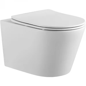 Унитаз подвесной Aquatek Вега безободковый тонкое сиденье с механизмом плавного закрывания AQ1905-00