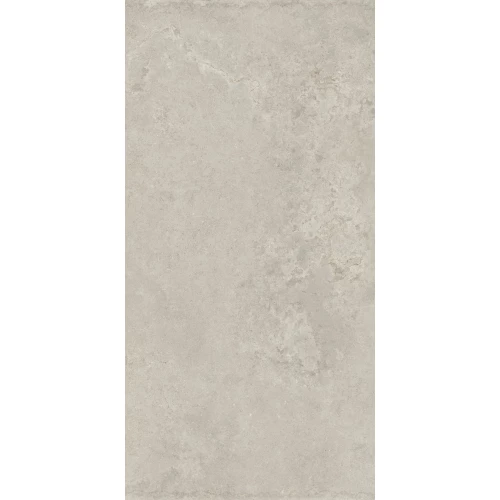 Керамогранит Ceramiche Caesar Histoire Reims Liscio Matt матовый серый AHS6 120х60 см
