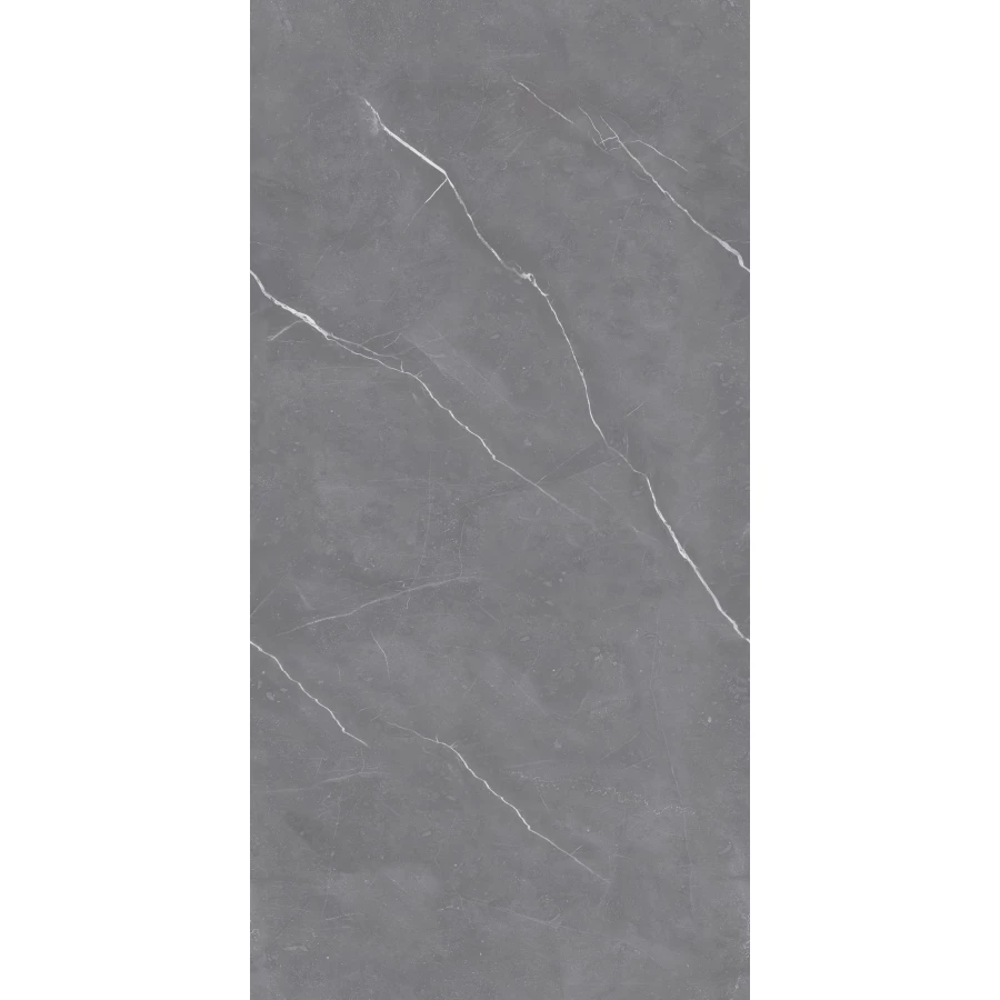 Керамогранит Seratonia Carving-Matt Rock Arami Grey матовый тёмно-серый 120х60 см