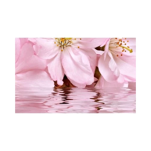 Декоративный массив Belleza Букет 07-00-5-09-01-41-665 розовый 25х40 см