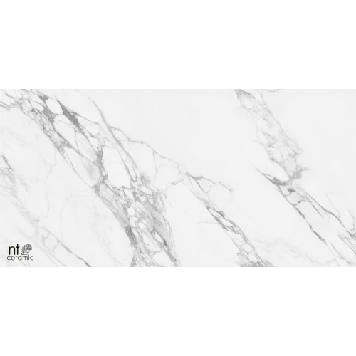 Керамогранит NT Ceramic Marmo Artic statuario Glossy Глянец NTT99528P 120х60 см