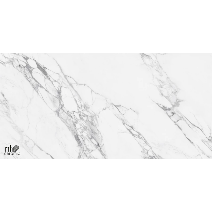 Керамогранит NT Ceramic Marmo Artic statuario Glossy Глянец NTT99528P 120х60 см