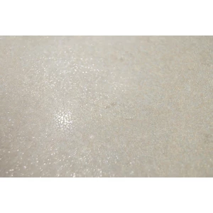 Керамогранит Arcadia Ceramica Elite Mist Sugar бежевый SG3004-A 60х60 см