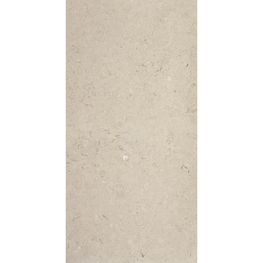Керамогранит STN Ceramica Caliope Inout Beige матовый бежевый 120х60 см