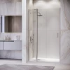 Душевая дверь RGW LE-004 Прозрачное 1300 351200413-11 130х195 см
