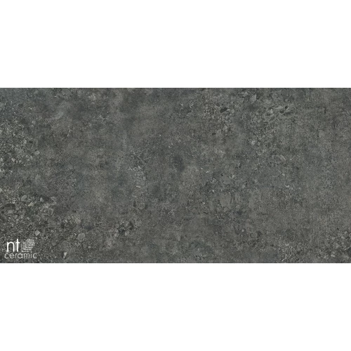 Керамогранит NT Ceramic Terrazzo NTT9502 Лаппатированный TZ612NTT9502L 120х60 см