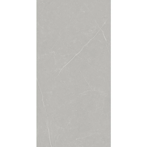 Керамогранит Primavera Фенгари / Fengari матовый серый TP612M002 120x60 см