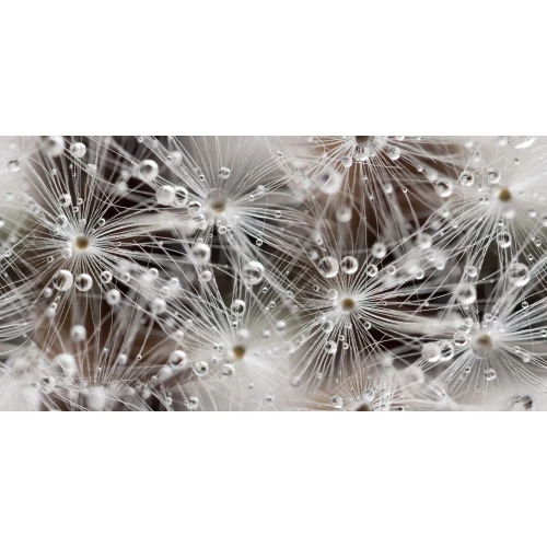 Плитка настенная Belani Джерси Декор глянцевый белый BL-ДЖЕРСИ/ВК/300/600/Б 60х30 см