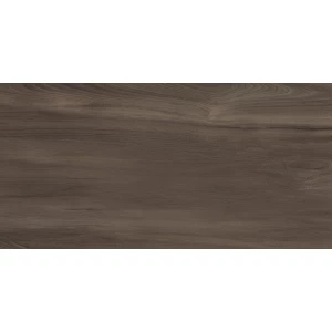 Керамогранит Artkera Group Goa Marron матовый коричневый GP36GOA21 60х30 см