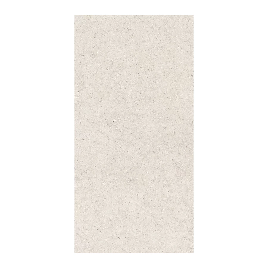 Керамогранит Italon Форум Стоун Полар матовый белый 610010004166 120х60 см