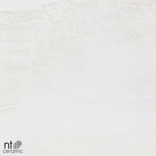 Керамогранит NT Ceramic Zeus NTT9701 Матовый ZS6NTT9701M 60х60 см