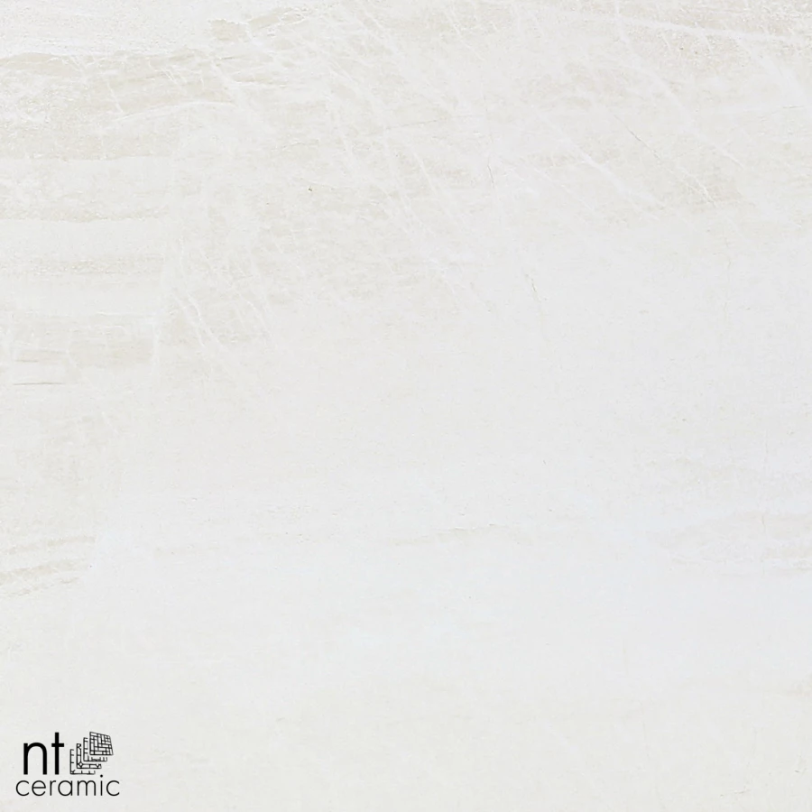 Керамогранит NT Ceramic Zeus NTT9701 Матовый ZS6NTT9701M 60х60 см