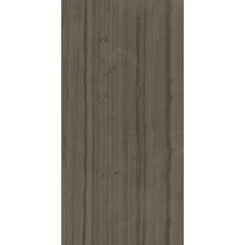 Керамогранит Italon Charme Advance Elegant Brown Ret 610010002163 80X160 см