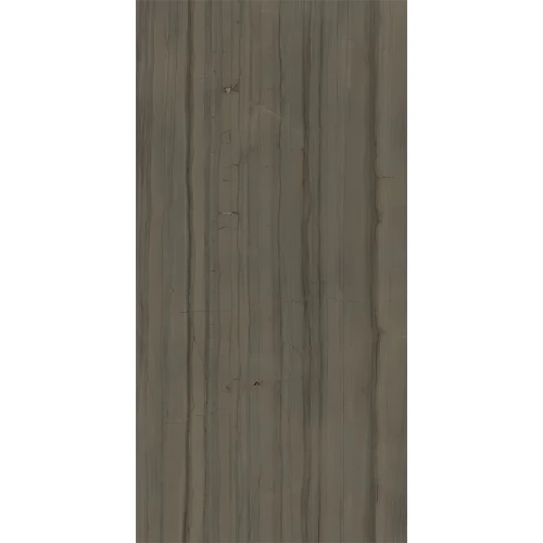 Керамогранит Italon Шарм Эдванс Элегант Браун / Charme Advance Elegant Brown матовый коричневый 610010002163 160х80 см