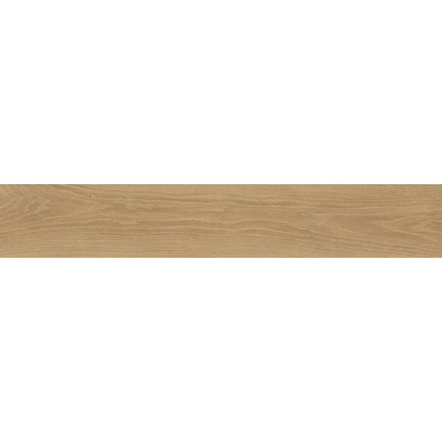 Керамогранит Atlas Concorde Элиго Бассвуд Рет 610010001619 120х20 см