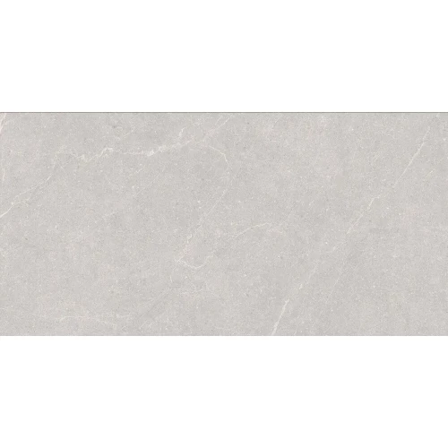 Керамогранит Duna Elenta Ash Carving светло-серый RP-238578 120х60 см