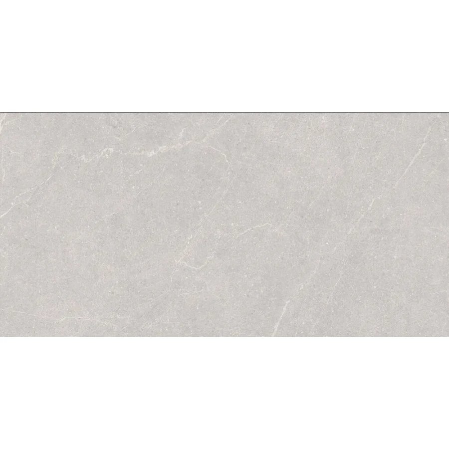 Керамогранит Duna Elenta Ash Carving светло-серый RP-238578 120х60 см