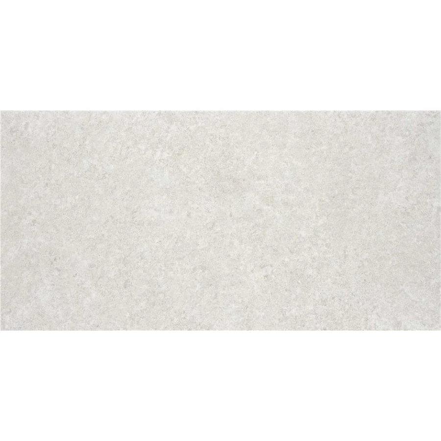 Керамогранит Stn ceramica Verity Pearl Mt Rect матовый светло-серый CAN5IS 120х60 см