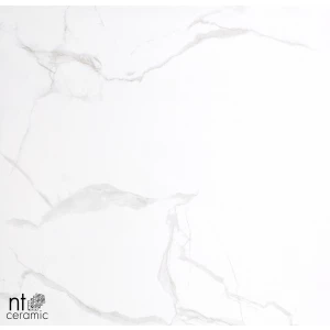 Керамогранит NT Ceramic Marmori NTT9402 Полированный BK6NTT9402P 60х60 см