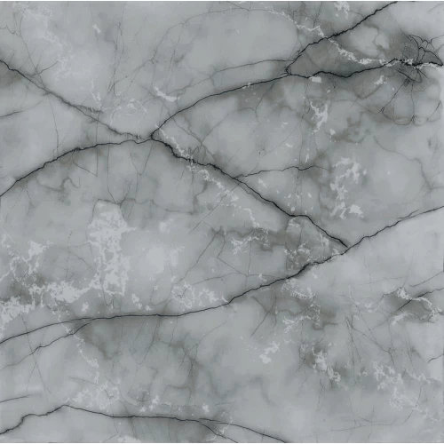 Керамогранит Primavera Айфель / Ajfelʹ матовый серый TP66M109 60х60 см