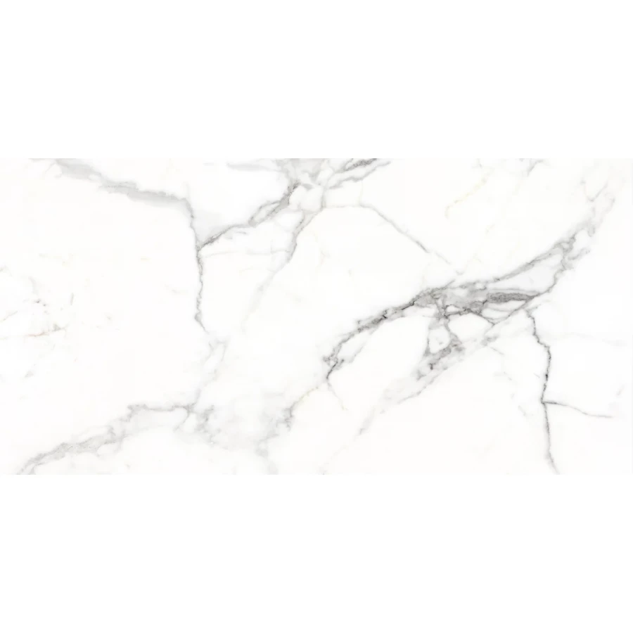 Керамогранит Dogma Project Antibacterial Torino Silk Natural Rettificato белый DPA601216SN 120x60 см