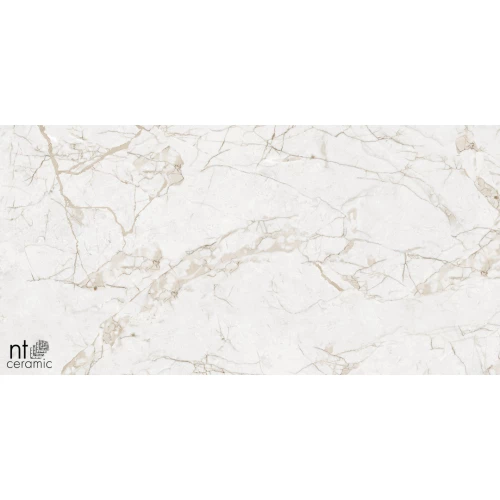 Керамогранит NT Ceramic Marmo Impero Grey Carving Карвинг NTT99519M 120х60 см