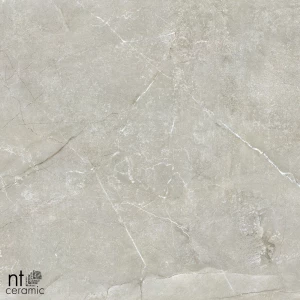 Керамогранит NT Ceramic Quanta Grey NTT9022 Матовый NS6NTT9022L 60х60 см