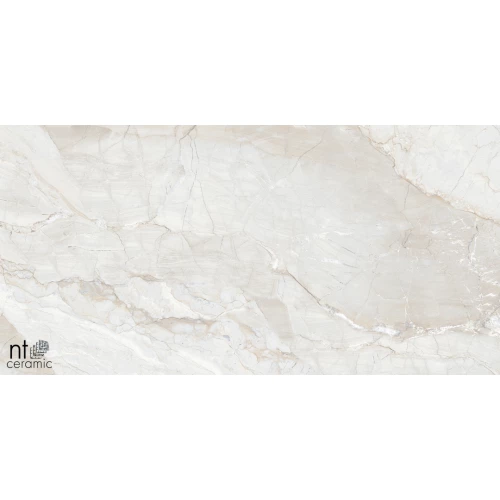 Керамогранит NT Ceramic Gravel White Полированный NTT99508P 120х60 см