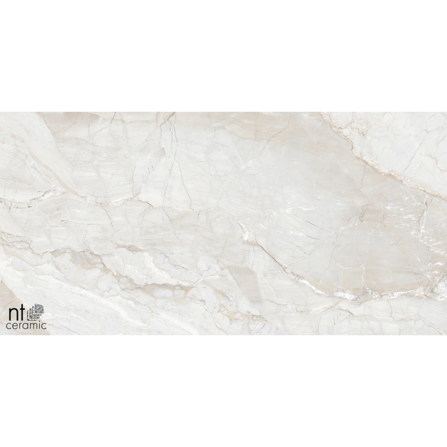 Керамогранит NT Ceramic Gravel White Полированный NTT99508P 120х60 см