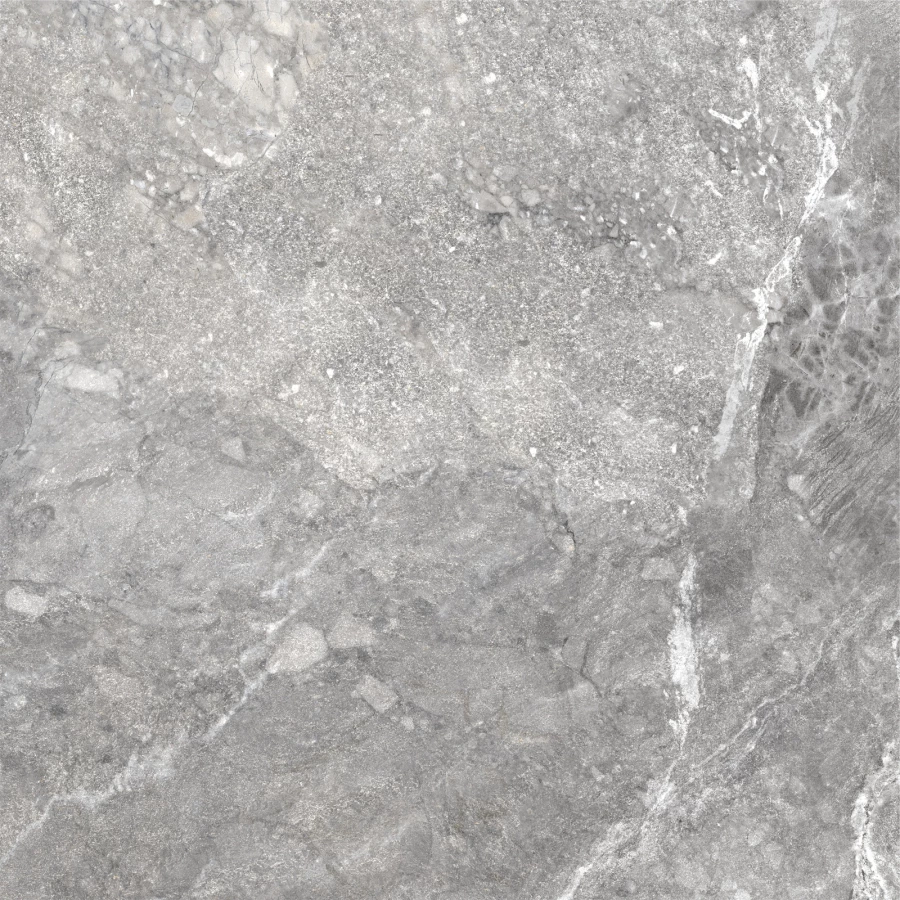 Керамогранит Delacora Wild Dark матовый серый D60260M 60х60 см