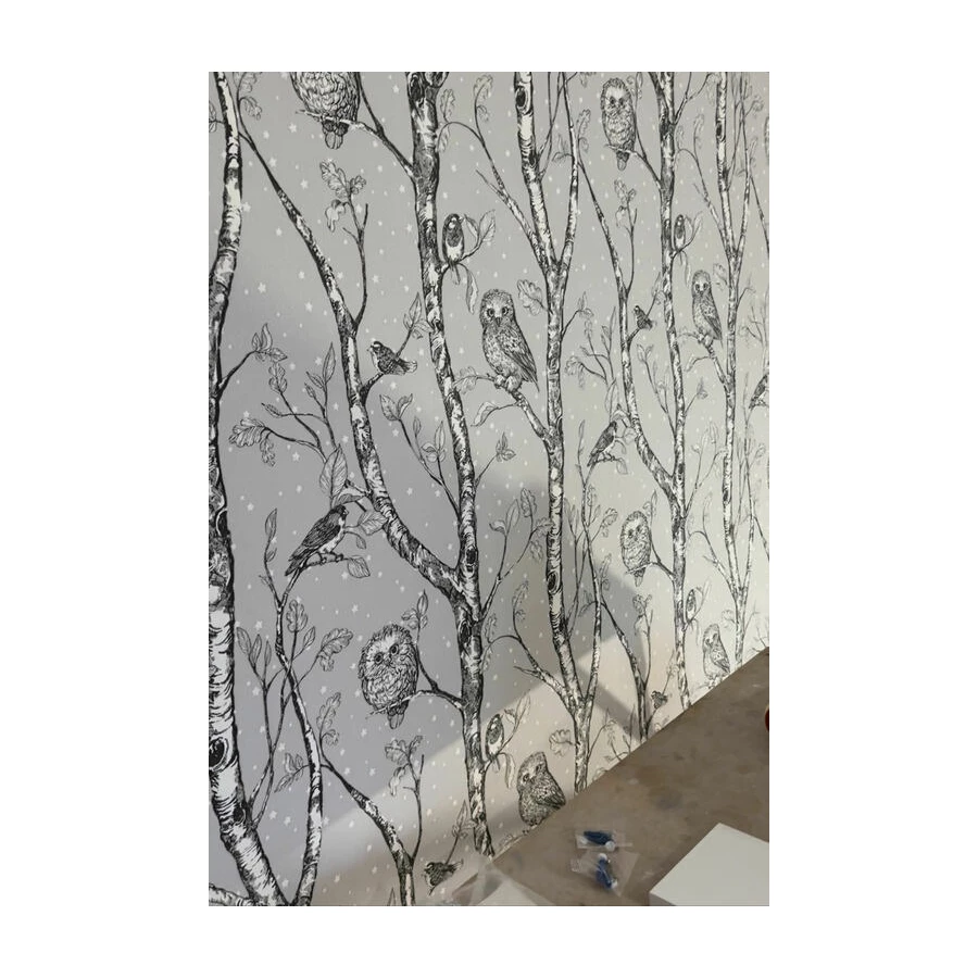 Обои флизелиновые Palitra Home HomeColor Wonderful серые HC71534-14 1,06х10,05 м