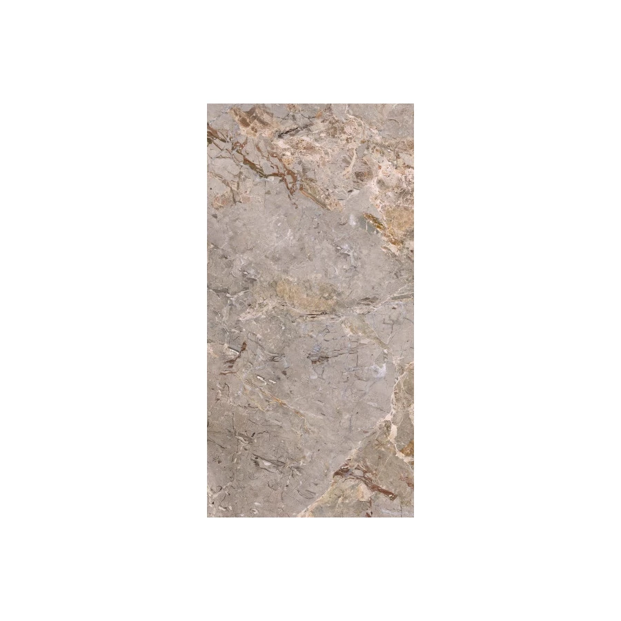 Керамогранит AVA Ceramica Marmo E Pietra Breccia Argentum Lapp Rett 163101 120х60 см