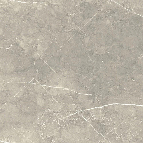 Керамогранит La Platera Nevada Grey матовый серый AC49469 60х60 см