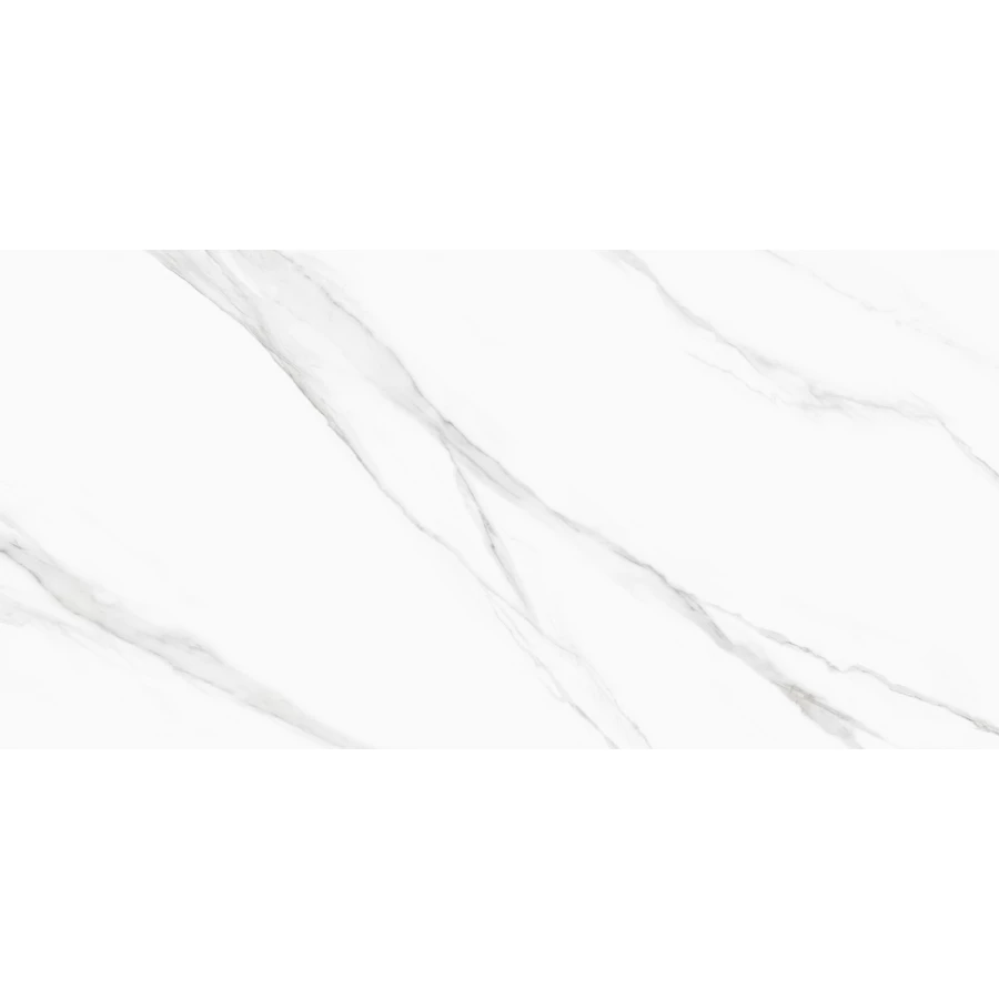 Керамогранит Delacora Life Calacatta матовый белый D120239M 120х60 см