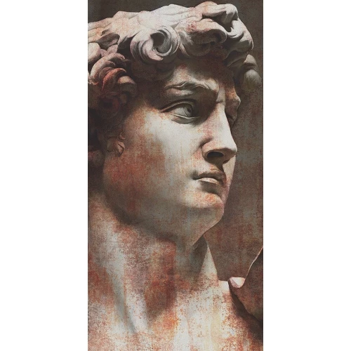 Керамогранит Kerama Marazzi Давид и Венера 1 Ковер матовый коричневый VT\A564\SG5918R 238,5х119,5 см