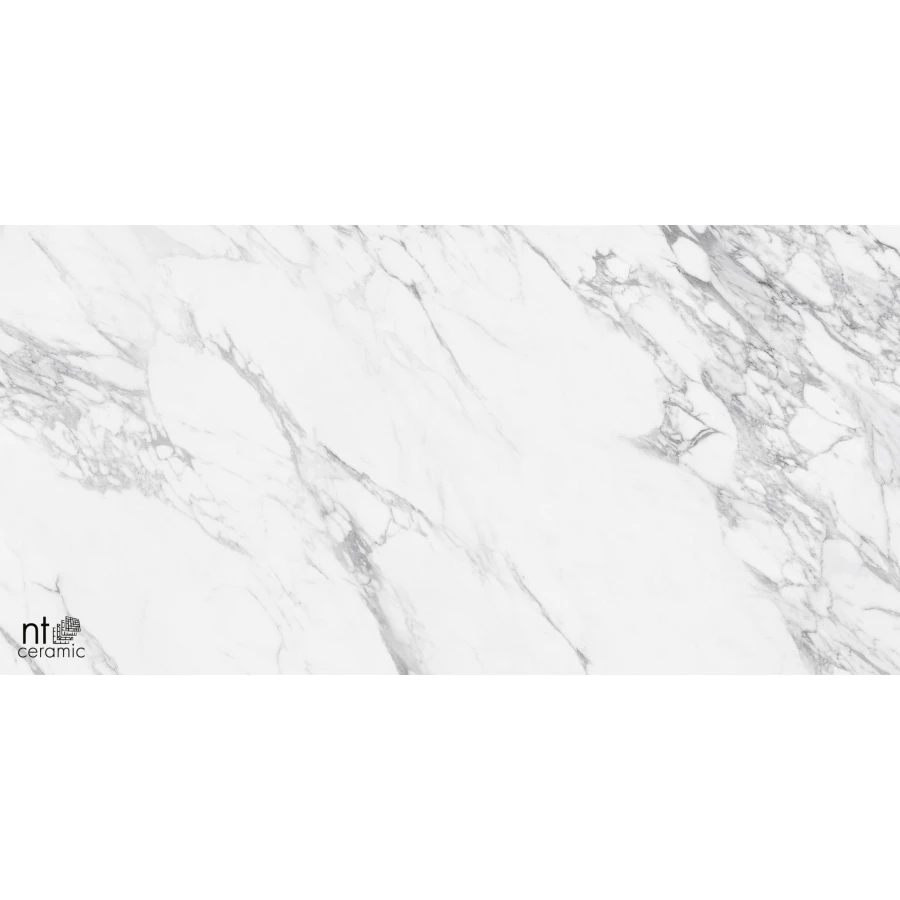 Керамогранит NT Ceramic Marmo Artic statuario Glossy Глянец NTT99528P 120х60 см