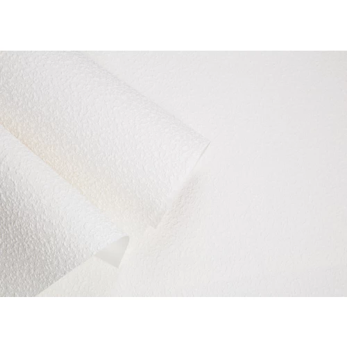 Обои флизелиновые Palitra Home HomeColor Colorist белые 409-01 1.06х25м