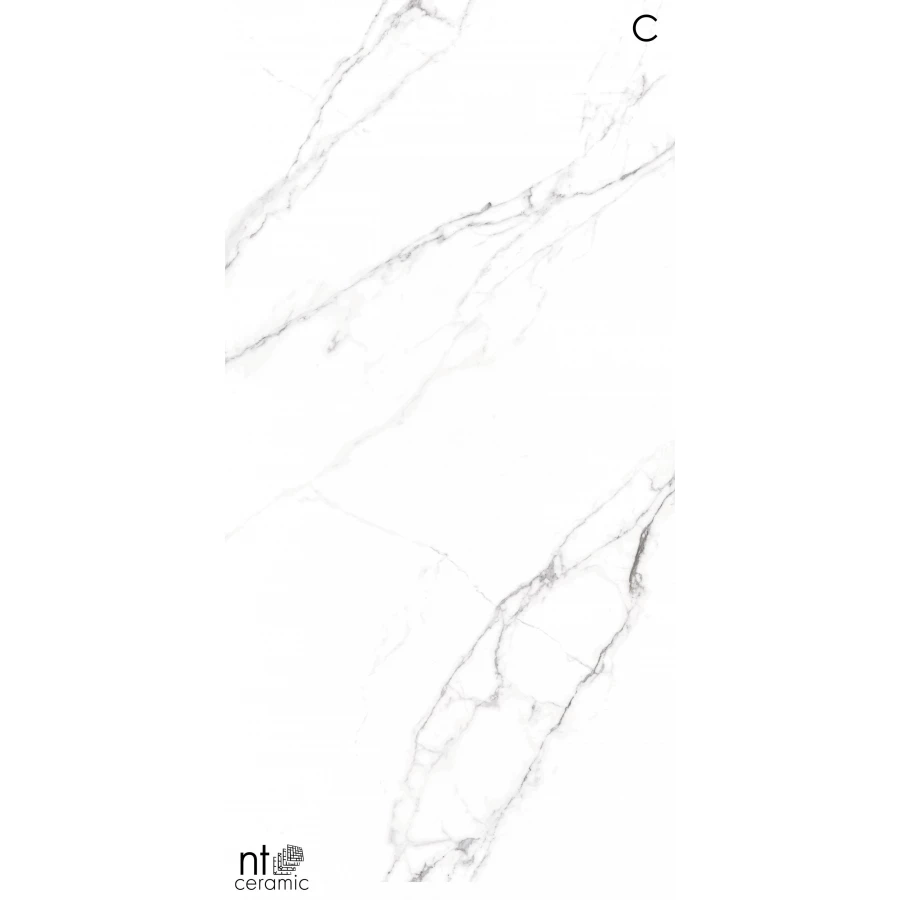 Керамогранит NT Ceramic Atlas Home Calacatta Light Лаппатированный NTT3506L 270х120 см