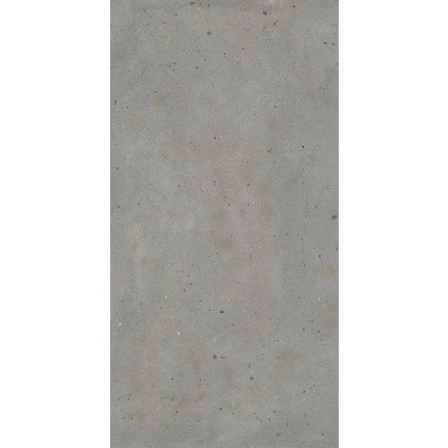 Керамогранит Italon Avantgarde Авангард Айрон матовый серый 610010005700 160х80 см