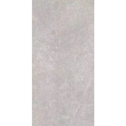 Керамогранит Realistik Santiago Semi Polished Matt серо-бежевый JN12903F 120x60 см