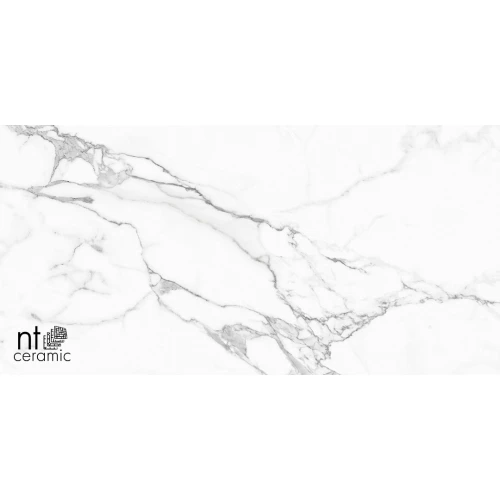 Керамогранит NT Ceramic Bright and Shiny Statuario Infinity Матовый NTT9125M 120х60 см