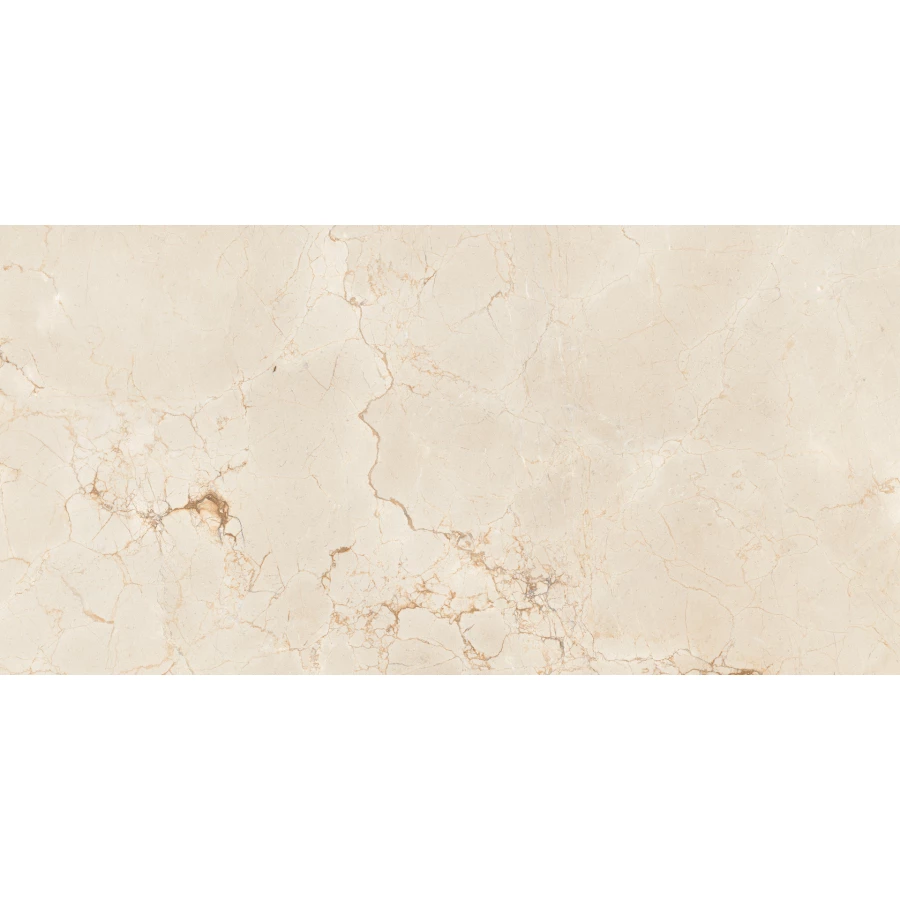 Керамогранит Maimoon Ceramica Itacid criox moss 120х60 см