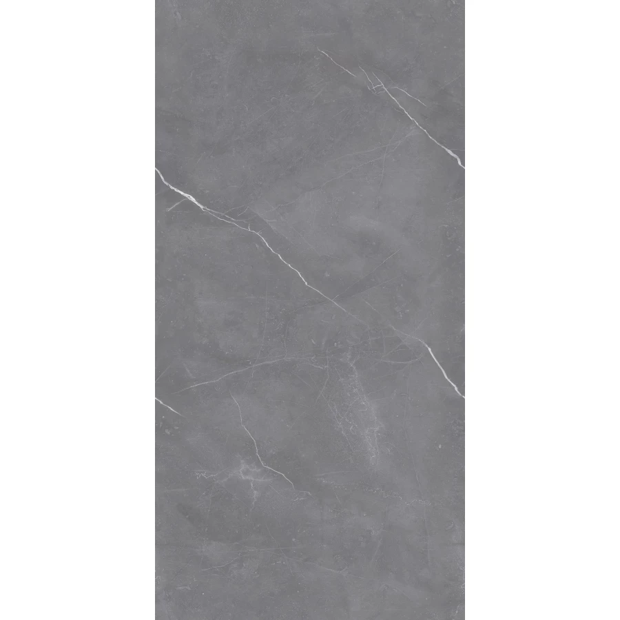 Керамогранит Seratonia Carving-Matt Rock Arami Grey матовый тёмно-серый 120х60 см