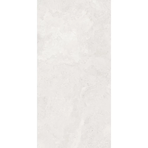 Керамогранит A-Ceramica Eco SP-14034 Polished глянцевый светло-серый 120х60 см