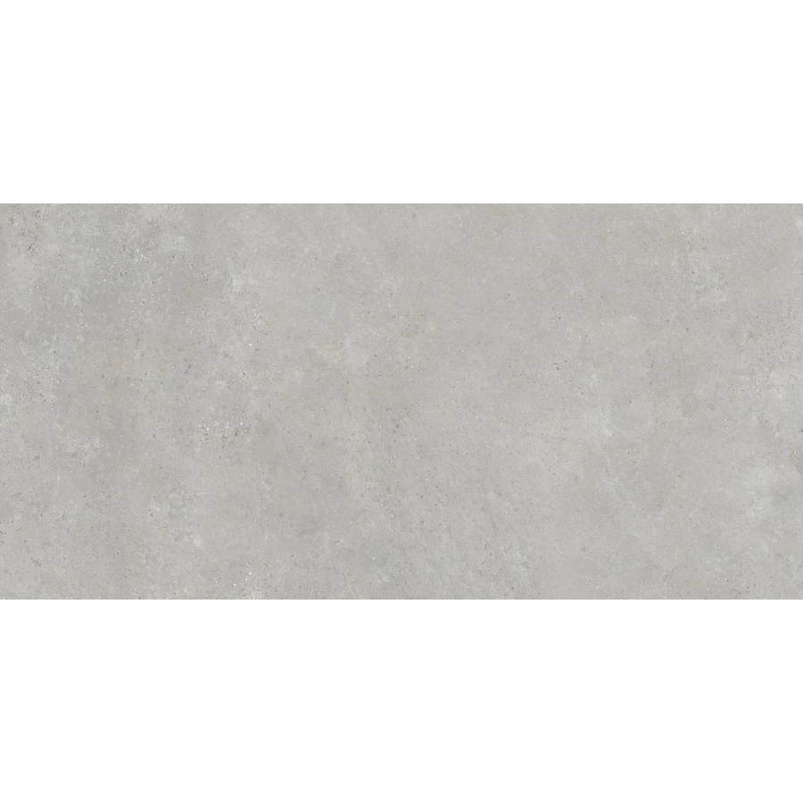 Керамогранит Neodom Loft Urban Grey Matt матовый серый N110009 120х60 см