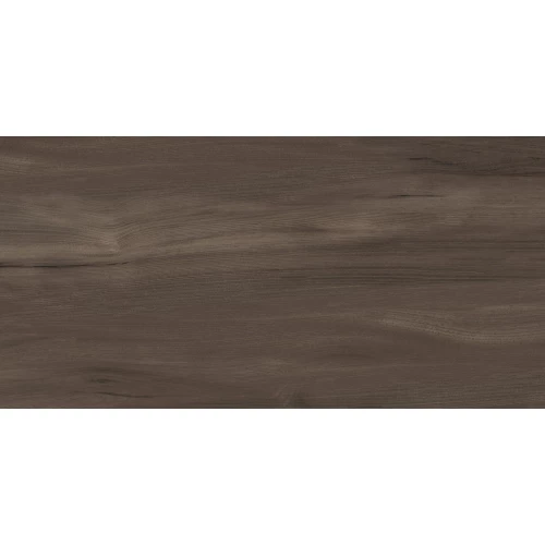 Керамогранит Artkera Group Goa Marron матовый коричневый GP36GOA21 60х30 см