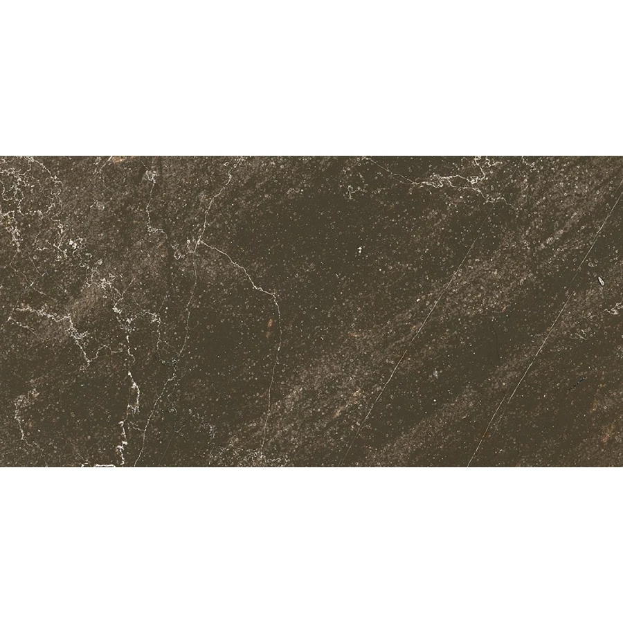 Керамогранит Ocean Ceramic Iran Baron Brown Sugar IRN000005 120х60 см