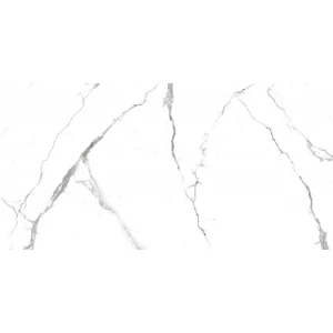 Керамогранит PrimaVera Acothly Matt 1,44 м2 NR219 120х60 см