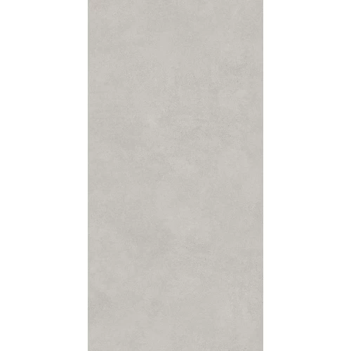 Керамогранит Lasselsberger Ceramics Иней темно-серый 6493-0138 120х60 см